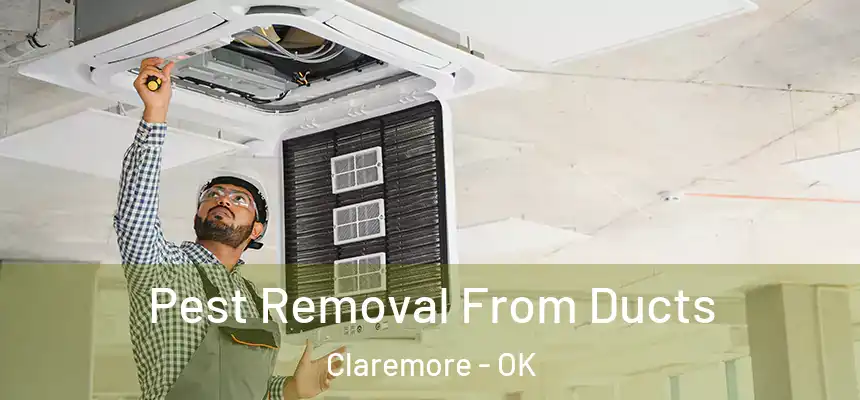  Pest Removal From Ducts Claremore - OK